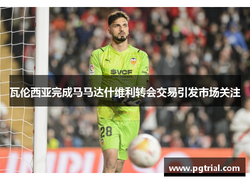 瓦伦西亚完成马马达什维利转会交易引发市场关注