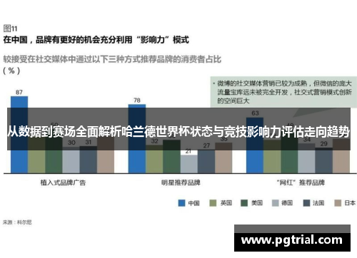 从数据到赛场全面解析哈兰德世界杯状态与竞技影响力评估走向趋势